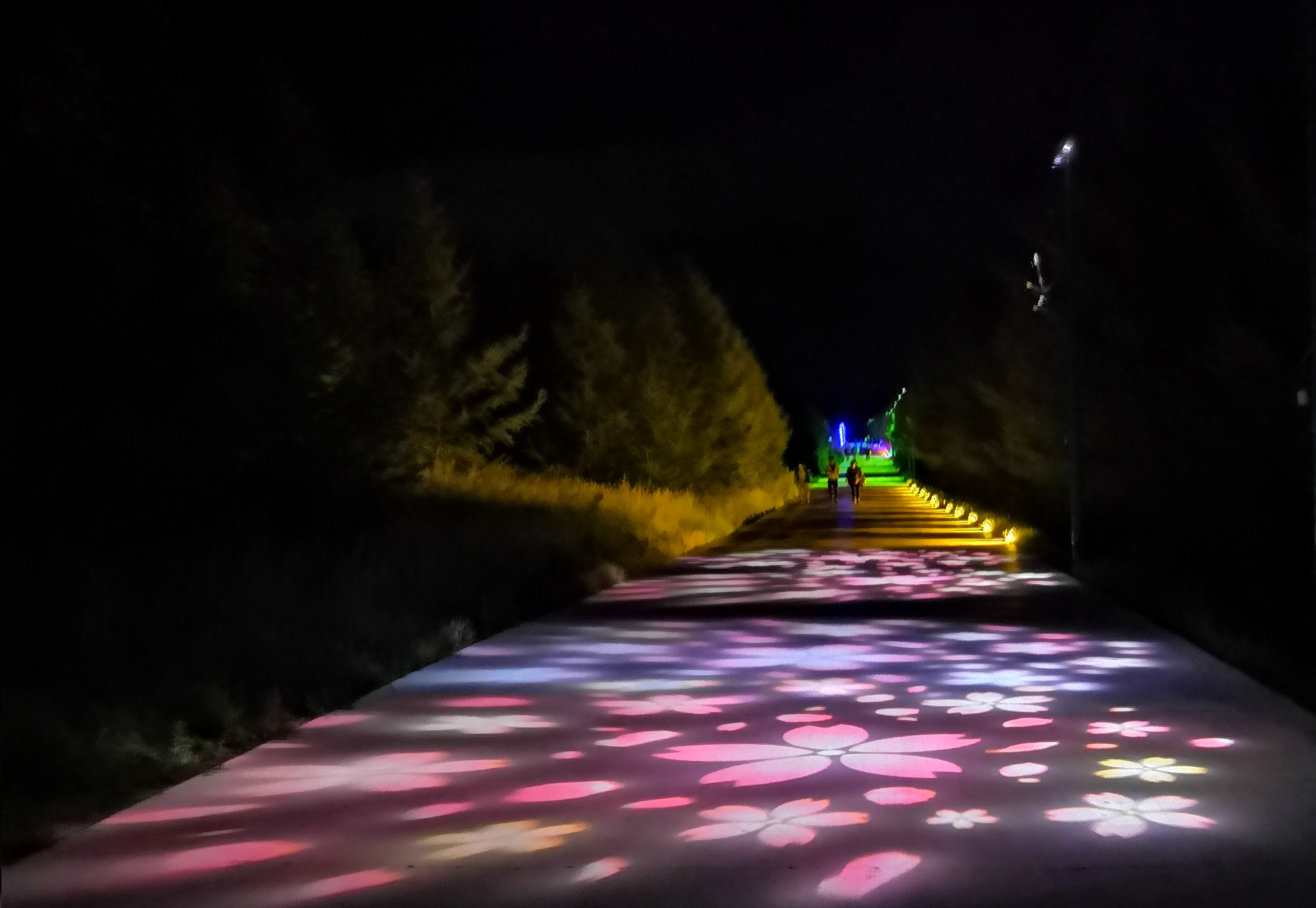 5d6ccc70553dd.jpg 5d6ccc70553dd.jpg