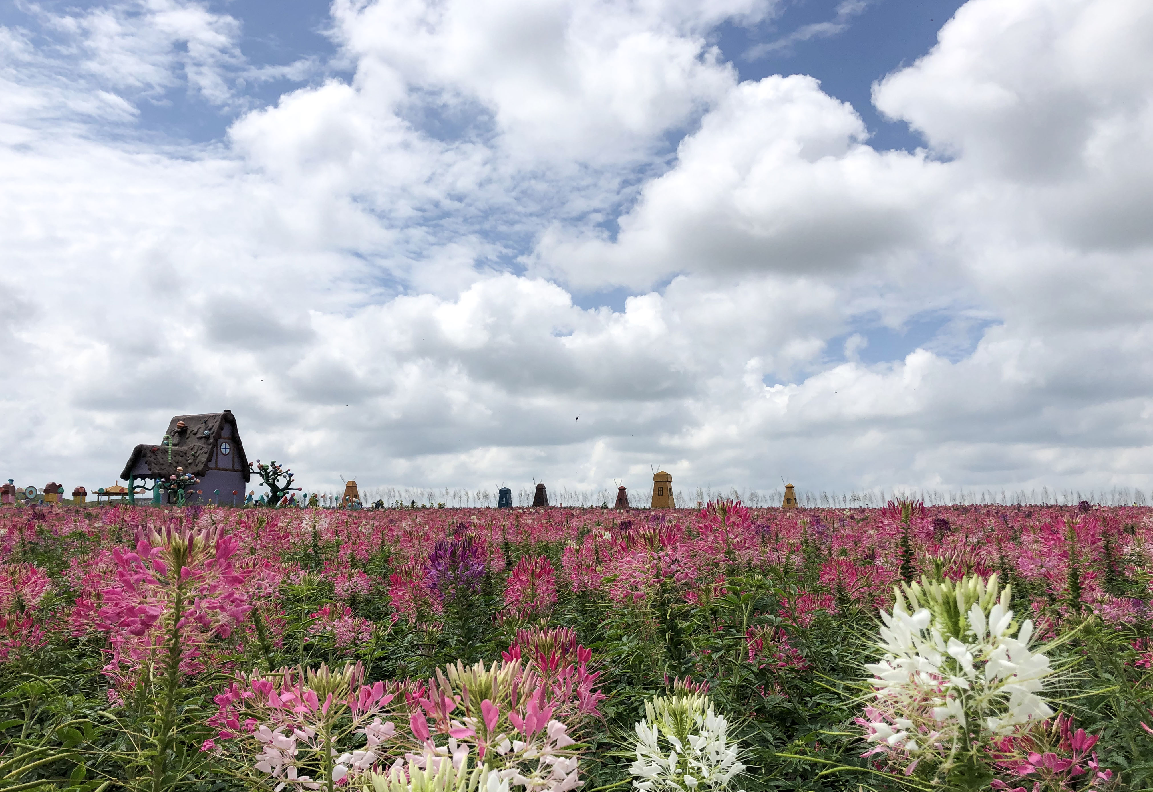 5d6ccd0f3a29d.jpg 5d6ccd0f3a29d.jpg