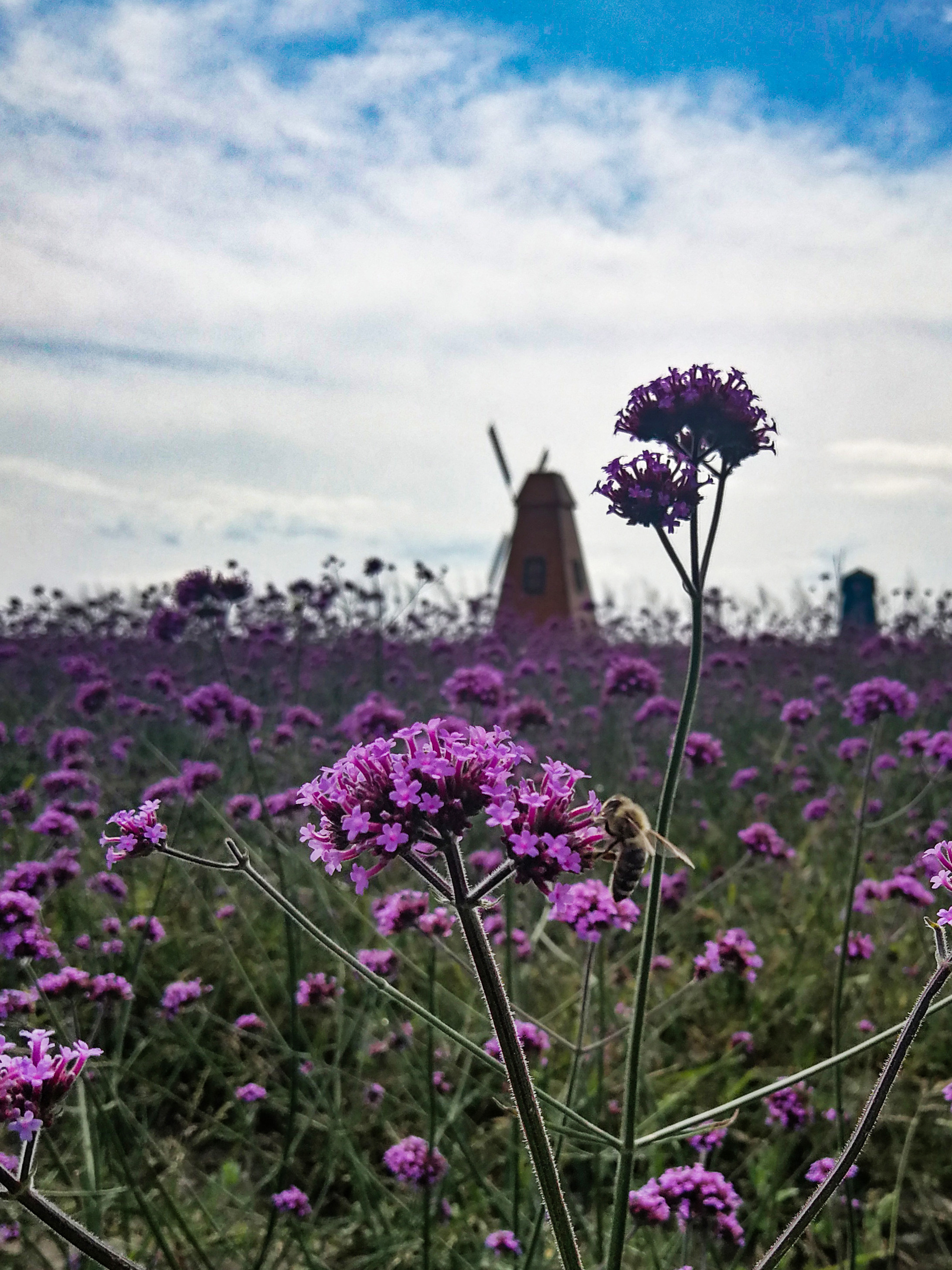 5d6ccd799927a.jpg 5d6ccd799927a.jpg