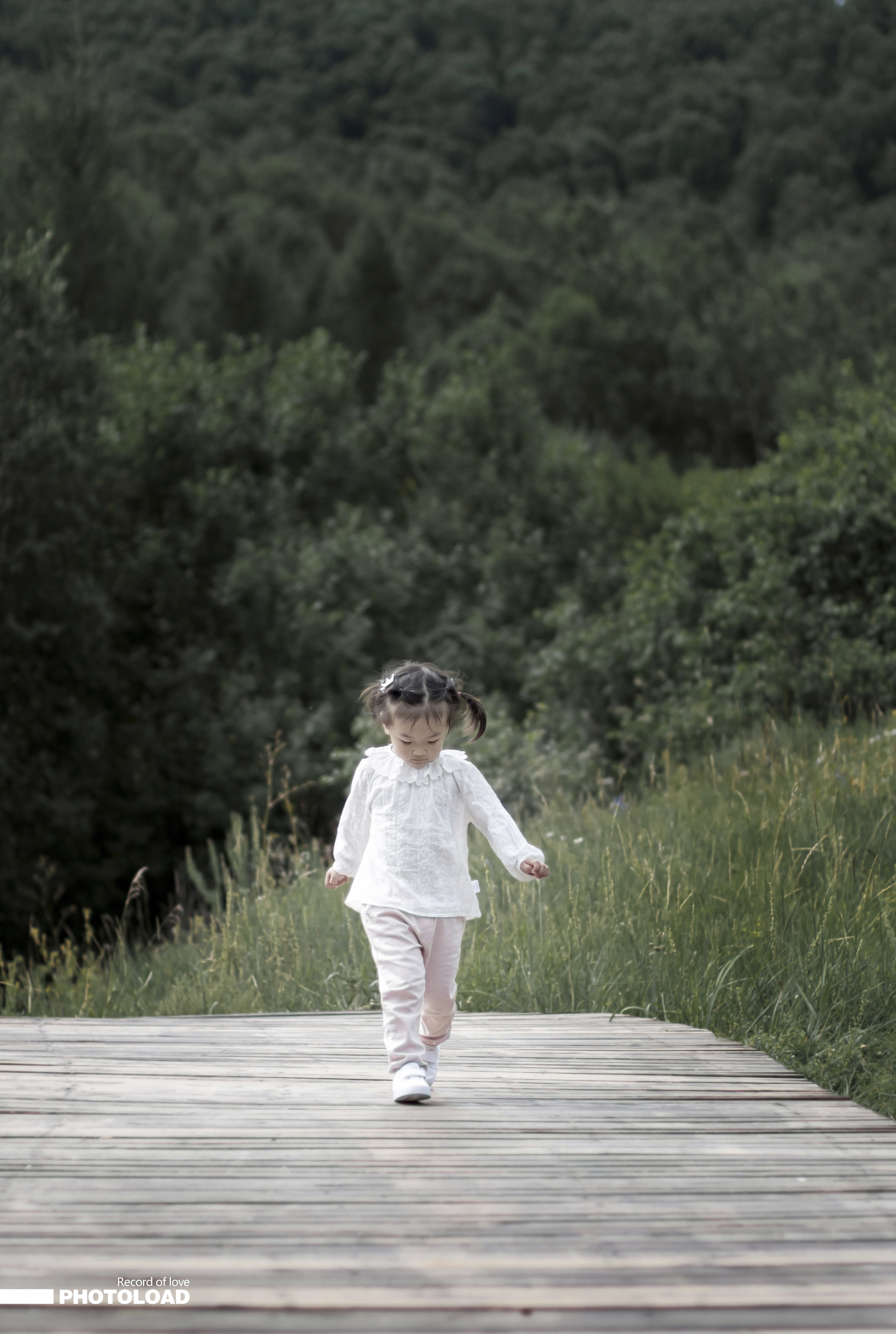 5d6ccd97ce113.jpg 5d6ccd97ce113.jpg