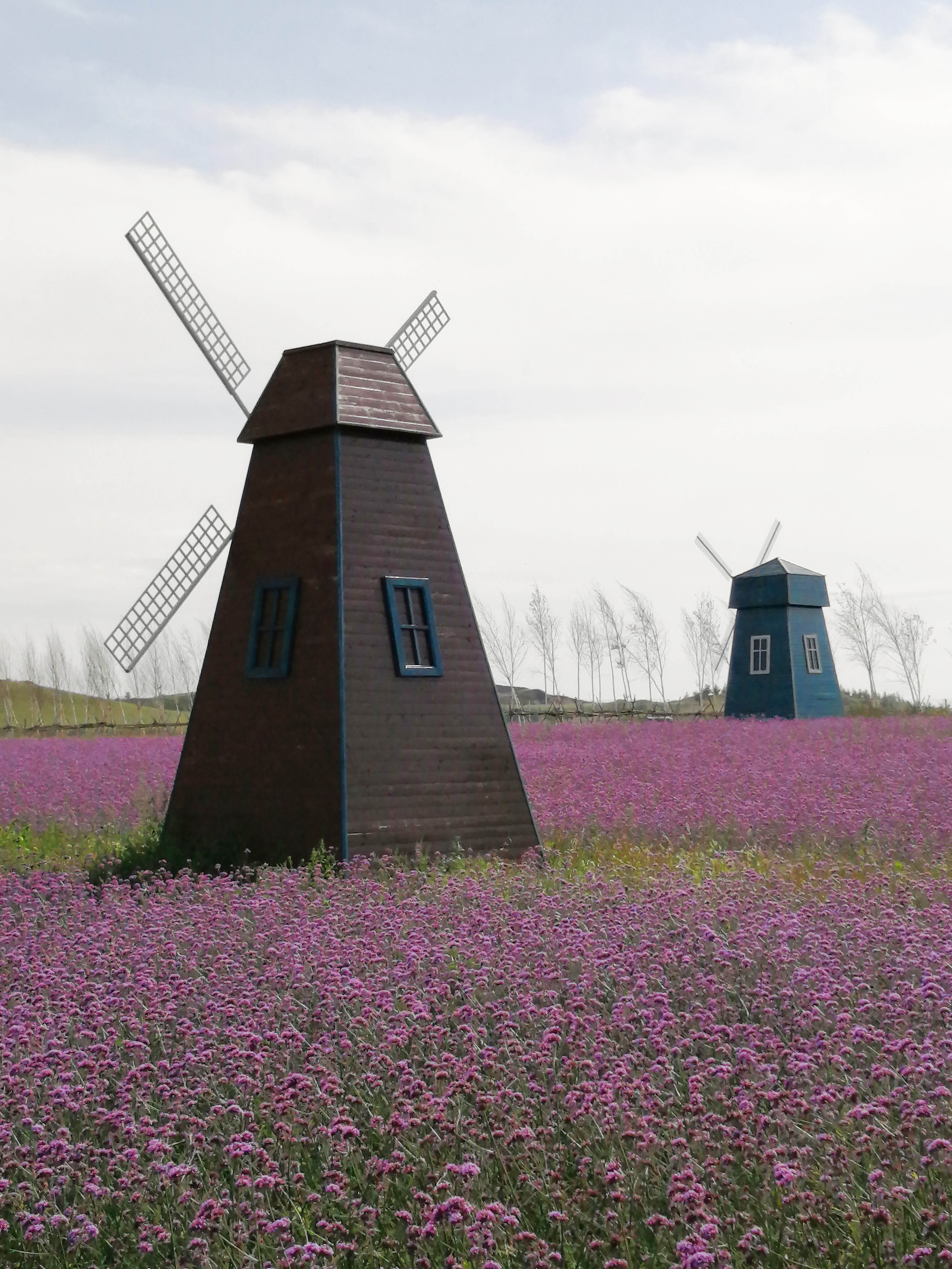 5d6cce9846bb6.jpg 5d6cce9846bb6.jpg