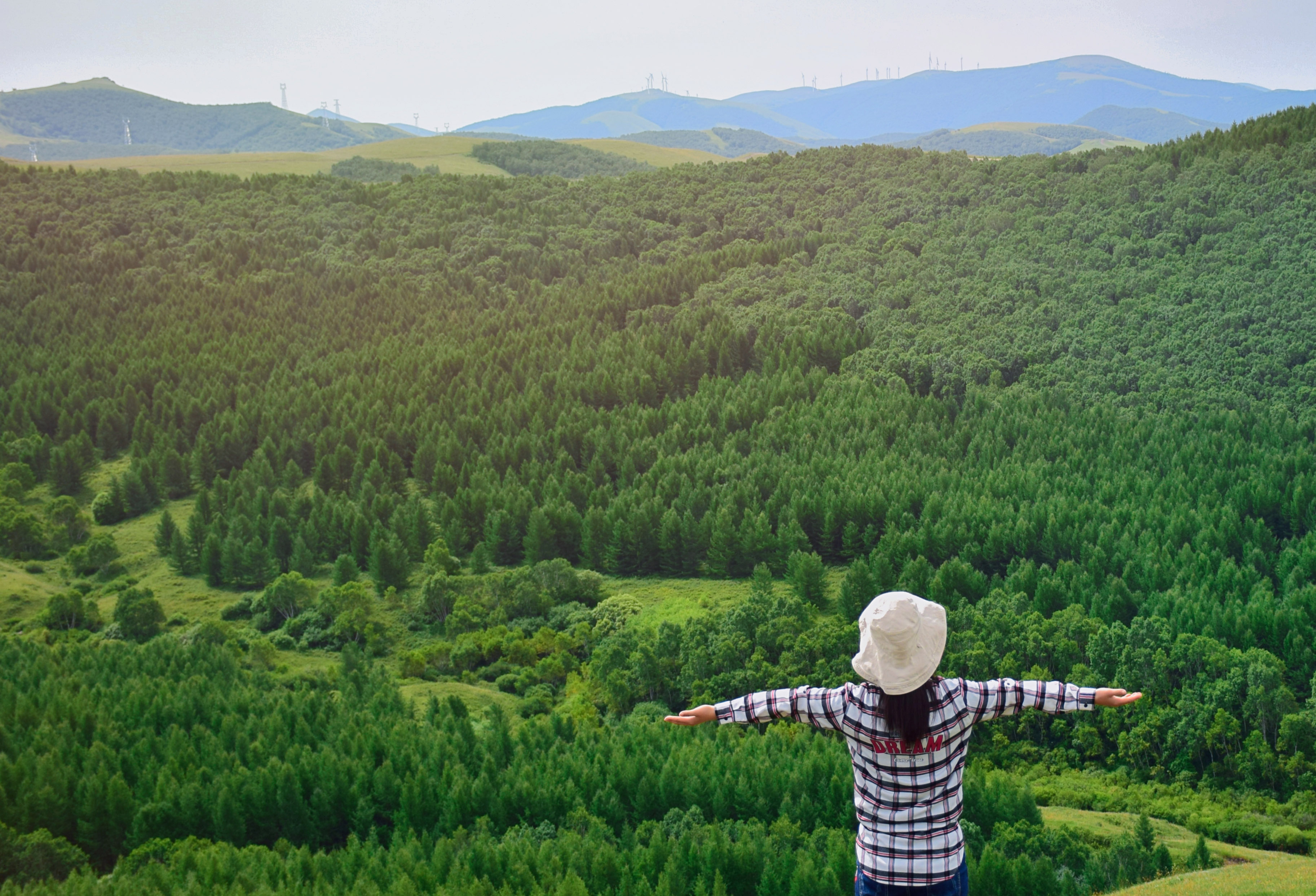 5d6cceb543f68.jpg 5d6cceb543f68.jpg