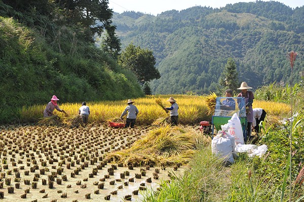 5f6aaaf2c5c52.jpg 5f6aaaf2c5c52.jpg